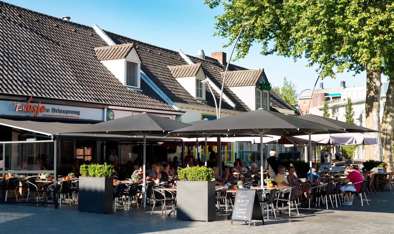 't Vosje de Driesprong