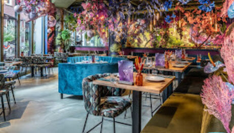 Dinerbon.com Den Haag BY AMI - Den Haag