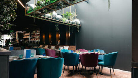 Dinerbon.com Sint-Truiden Ox Club
