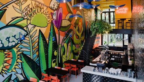 Dinerbon.com Rotterdam The Wings Paradise Rotterdam