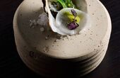 Dinerbon.com Waregem David Selen