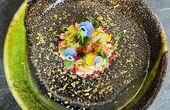 Dinerbon.com Velp Down to Earth Dining