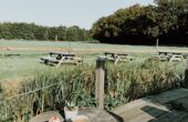 Dinerbon.com Voorschoten Het Eiland Van Ome Nick
