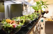 Dinerbon.com Utrecht Kleine Max