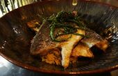 Dinerbon.com Haarlem Ollivers Haarlem