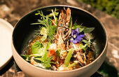 Dinerbon.com Sint-Truiden Ox Club