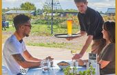 Dinerbon.com Lauwersoog Restaurant Het Booze Wijf
