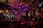 Dinerbon.com Zoetermeer Ristorante Italiano Pizzeria Romagna