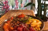 Dinerbon.com Alkmaar Surfing Poke - Gezonde Poke Bowls en Salade Bowls