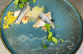 Dinerbon.com  Table Quinze