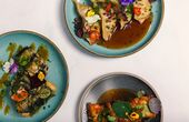 Dinerbon.com Willemstad Voorstraat50