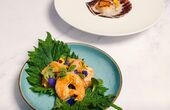 Dinerbon.com Willemstad Voorstraat50